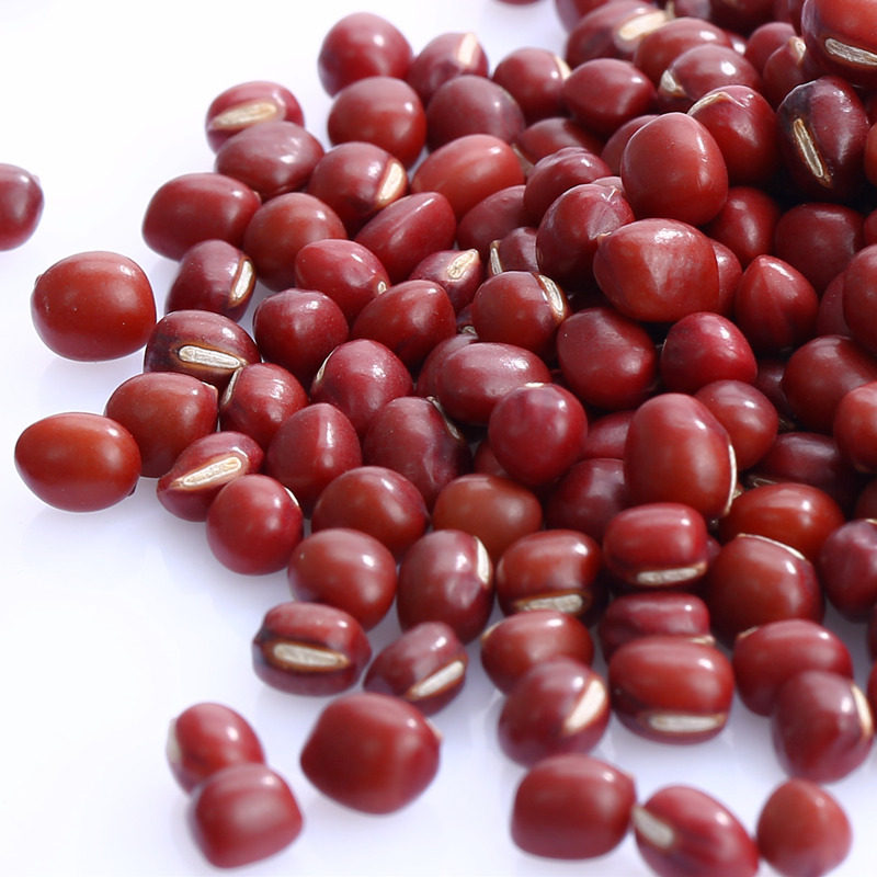 山岭红豆红豆红红小豆小红豆新货500g农家自产赤豆红豆