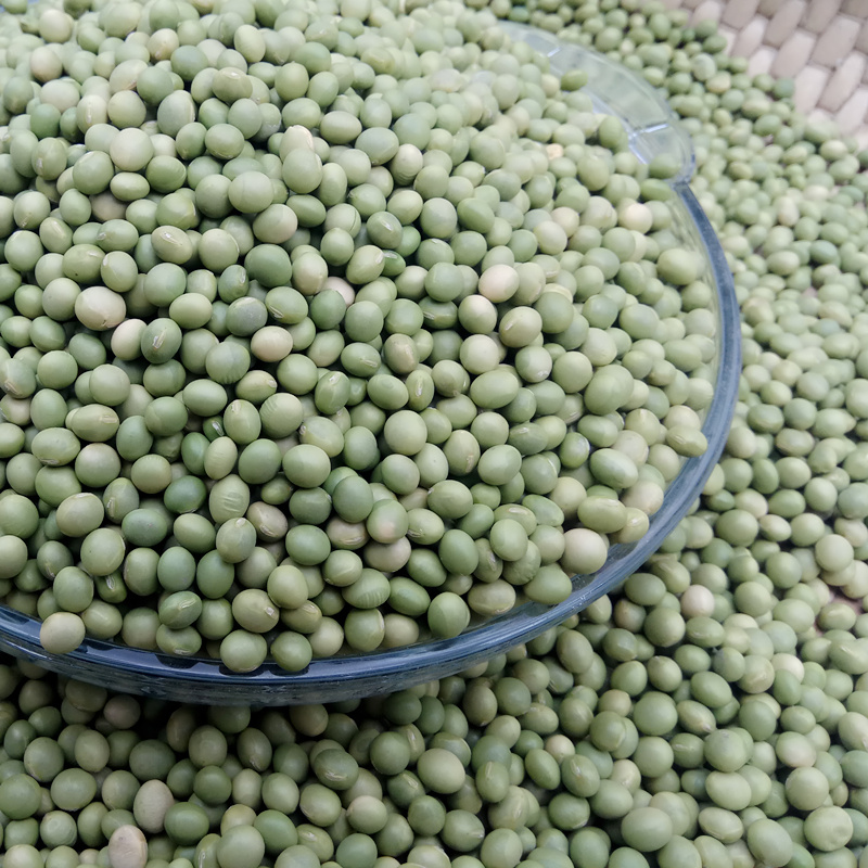 青豆绿黄豆250g 农家自产小青豆豆浆豆煲粥青仁干豆 五谷杂粮粗粮