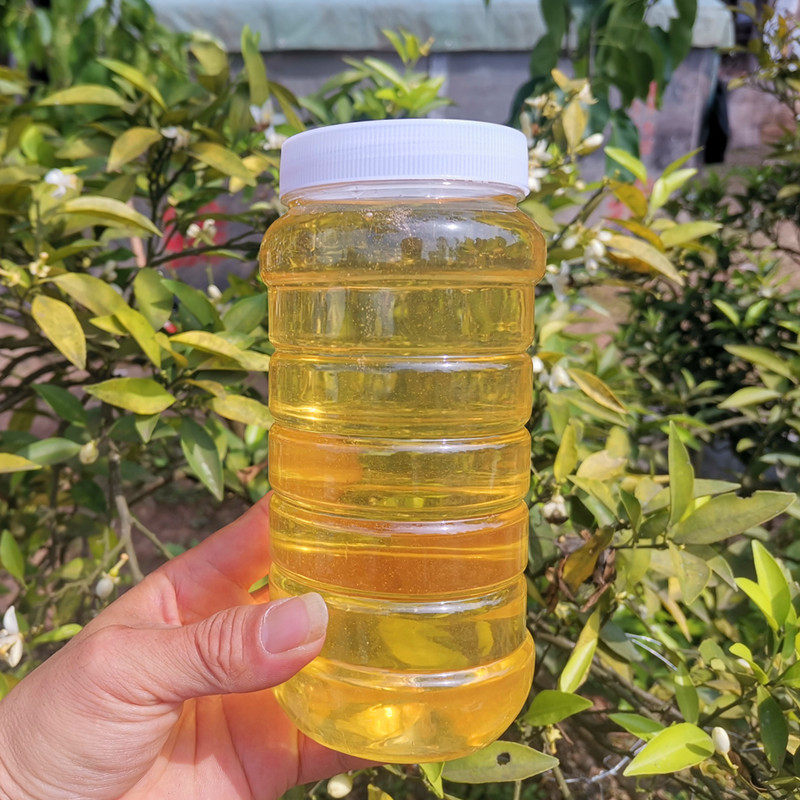 柑橘蜂蜜农家自产新鲜成熟橘子蜜桔子蜜柑橘花蜜2斤橙花蜜