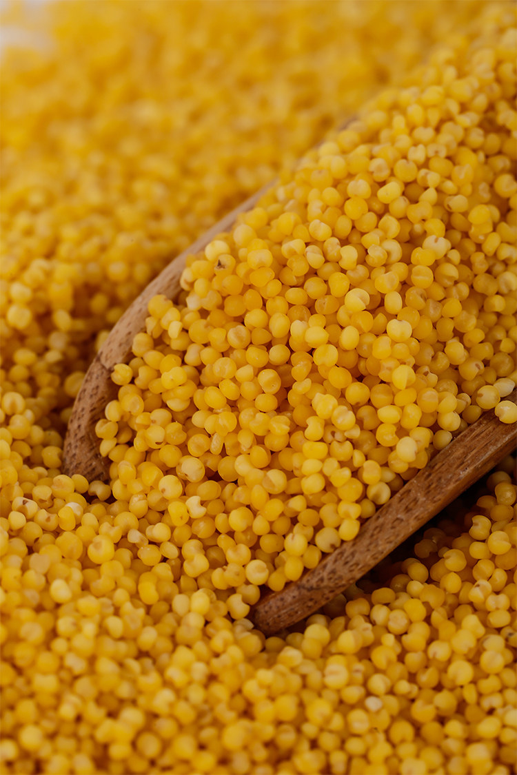 小米有机粟米认证米粥宝宝软糯黏粘2袋谷子小米