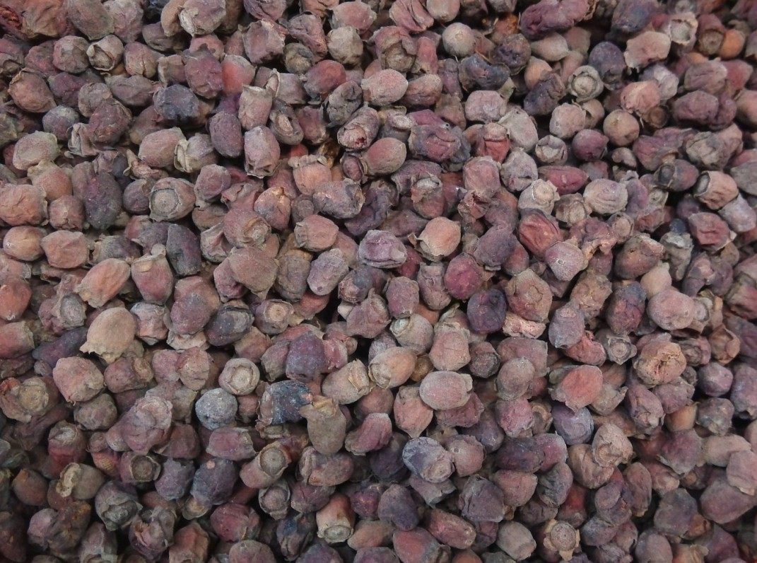 岗捻子 山菍子 干果山捻子 山稔果新货豆稔果野生泡酒500克包邮