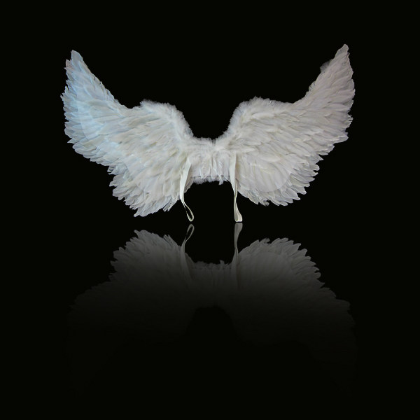 依依小天使万圣节真的天使羽毛翅膀演出翅膀