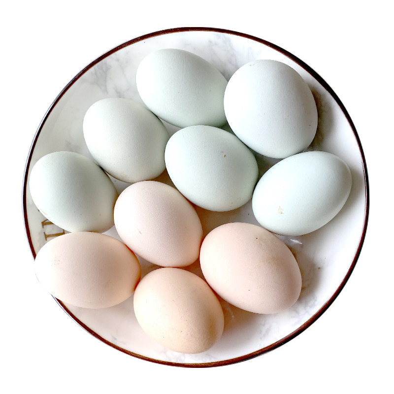 鸡蛋新鲜正宗土鸡农家散养五谷虫草初生生蛋鸡蛋