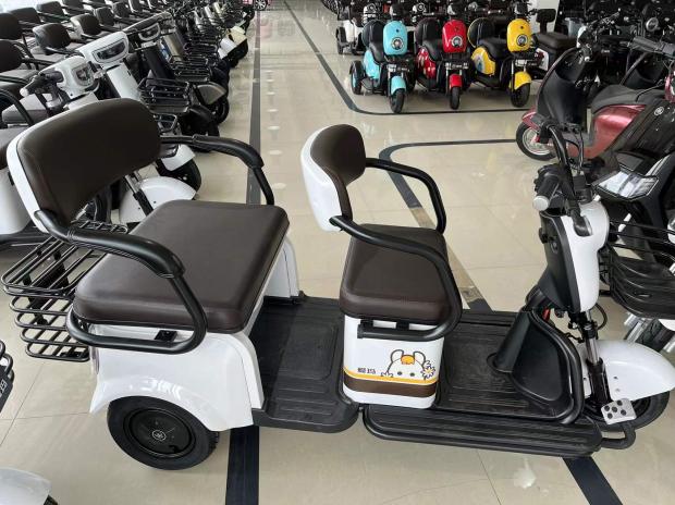 爱玛路虎新国标可上牌电动三轮车高端休闲车接送孩子代步车联保-mc