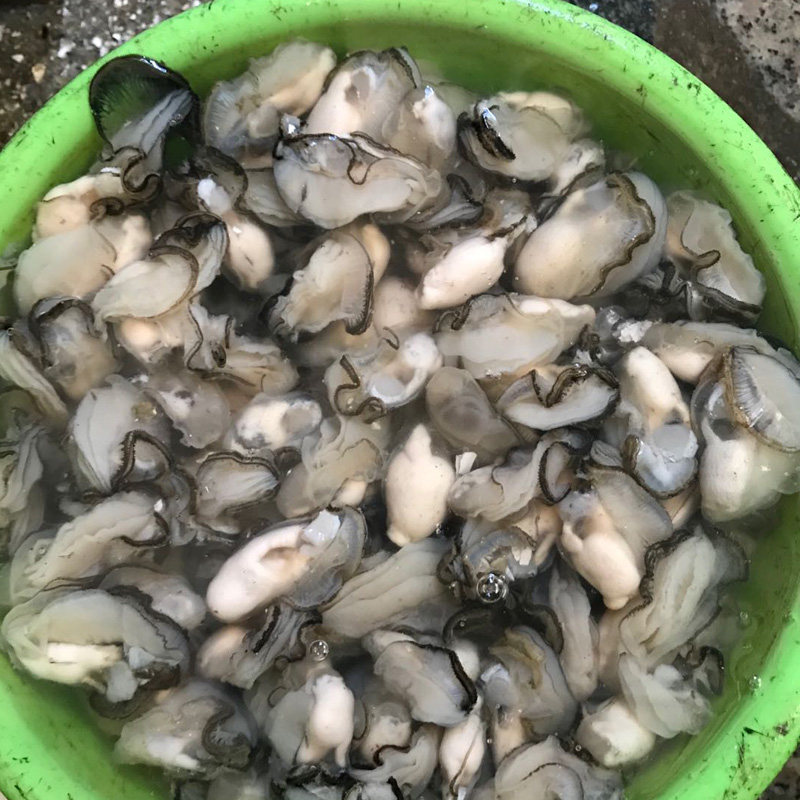 生蚝肉鲜活现剥去去壳牡蛎新鲜小蚝肉蚝仔煎生蚝