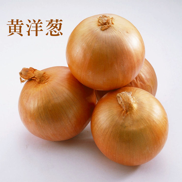 林庄园黄洋葱500g 洋葱新鲜蔬菜时鲜蔬菜江浙沪满任5件顺丰包邮