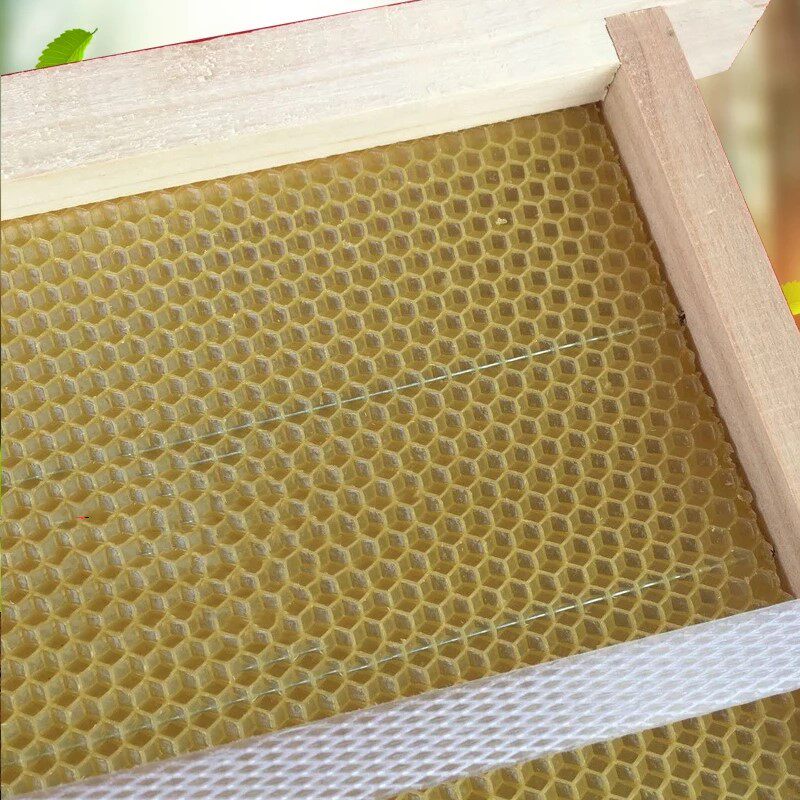 养蜜蜂工具巢础巢脾中蜂意蜂一体成品巢础巢框纸箱包装十套包邮