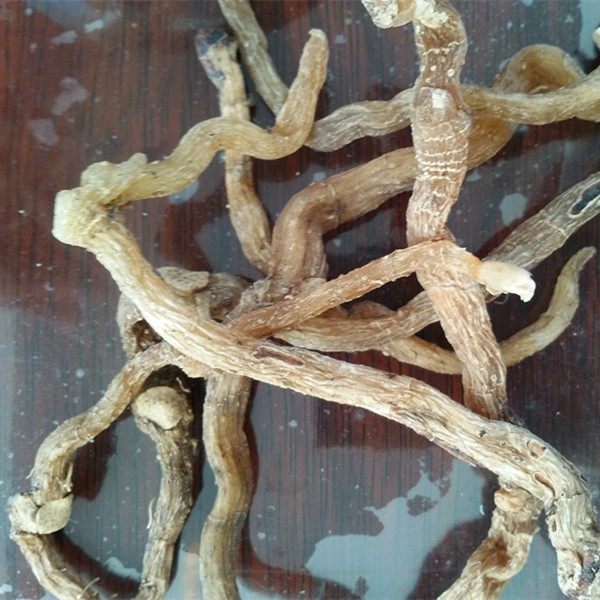 东北特产野生药材玉竹长白山脉玉竹中药材东北特产500克包邮