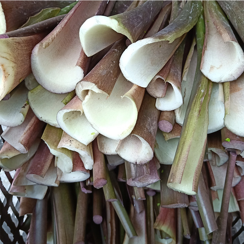 芋头重庆特产新鲜杆做酸菜泡菜原料3斤红芋其它