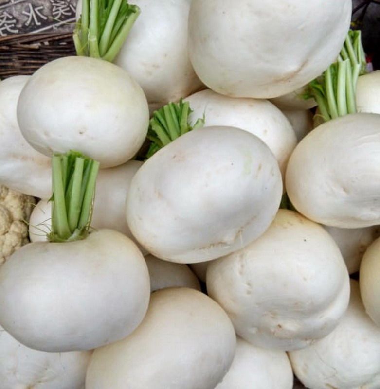 10斤四川蔬菜新鲜白萝卜春不老农家菜自种青菜芥菜萝卜