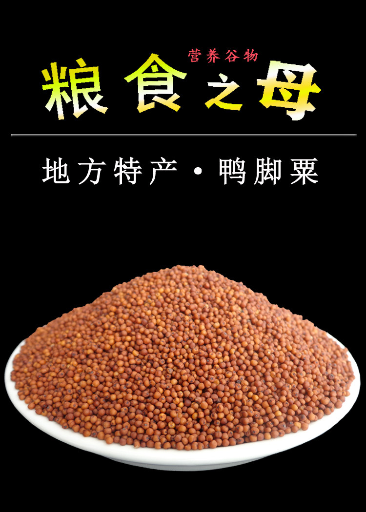 广西杂粮鸭脚粟鸭爪粟龙爪粟红小米粒鸡脚鸡爪小米