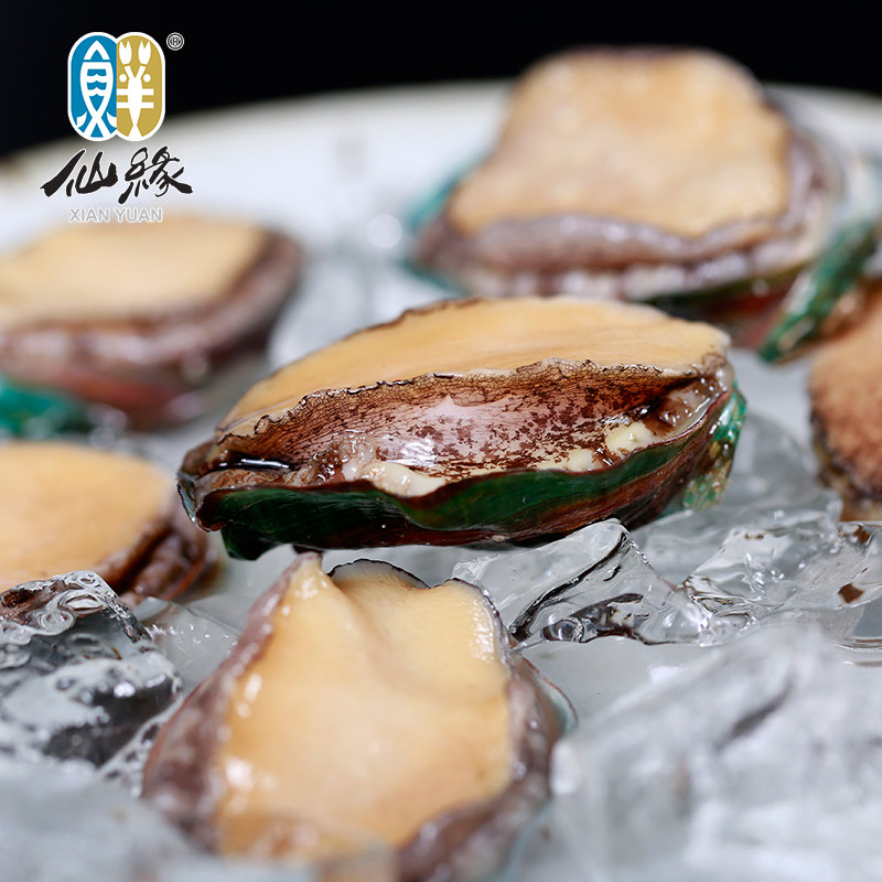 南通特产仙缘海鲜大礼包鲳鱼黄鱼鲥鱼带鱼对虾其它