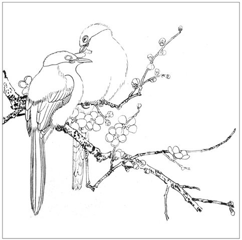 工笔画毛笔勾本店宣纸笔勾103打印稿底稿白描梅雀国画