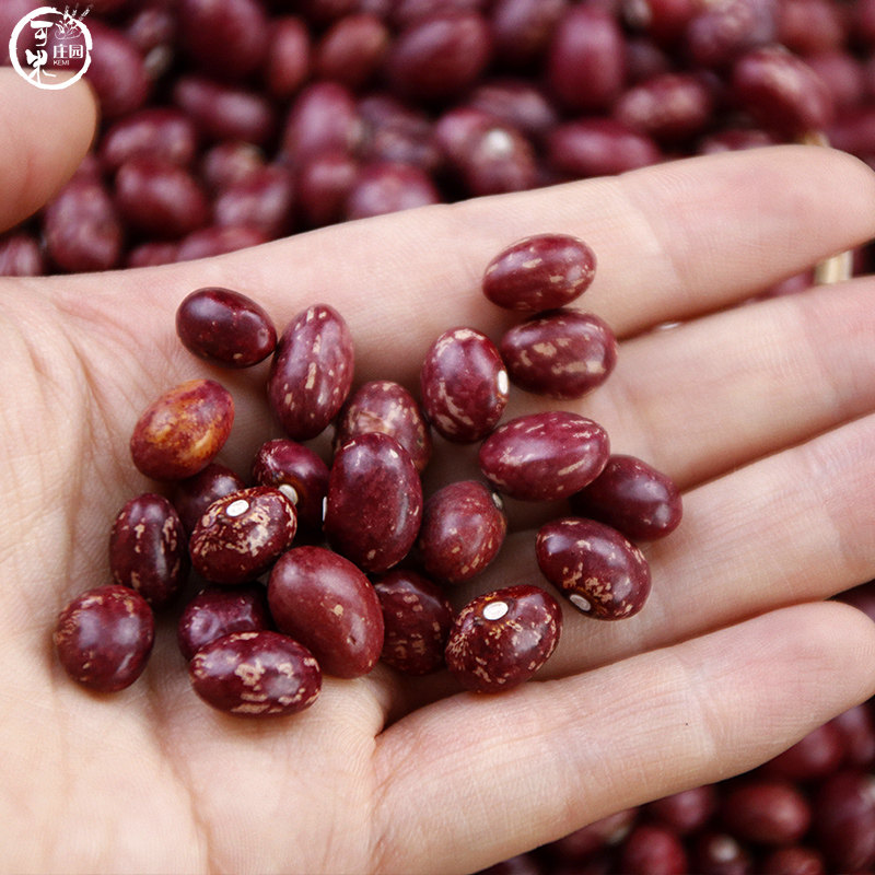 新货云南金丝红花孔雀芙蓉豆雀蛋豆芸豆红饭其它