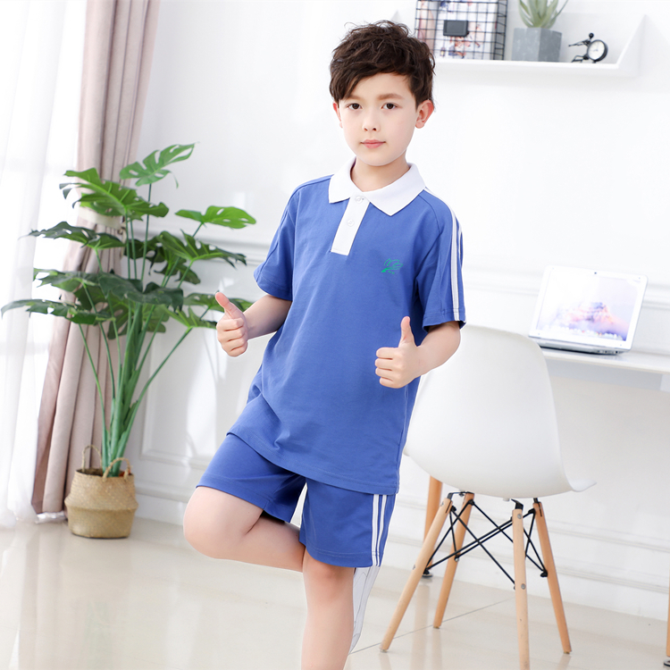 深圳市统一小学生校服男款夏季运动装夏装短袖上衣校服