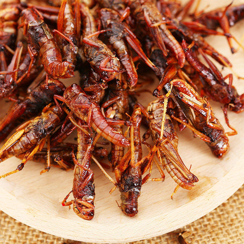 网红淄博油炸蚂蚱新鲜即食零食翅膀蝗虫麻辣其他食品