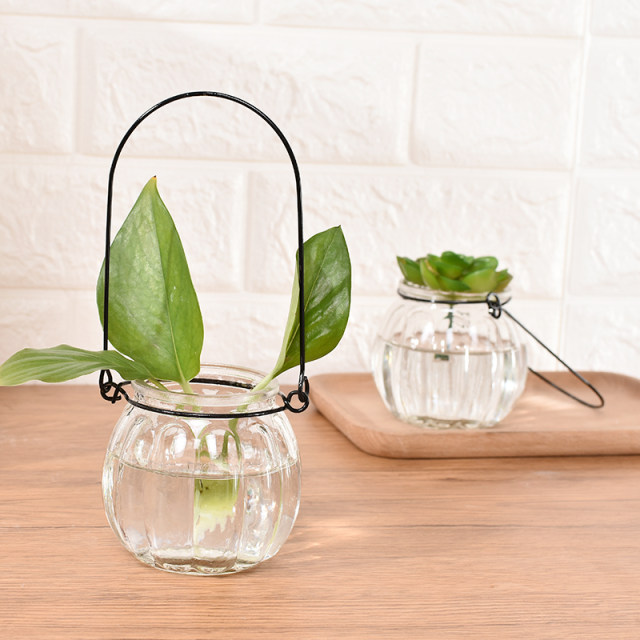 9 small condole bottles with hanging transparent glass vases for simple hydroponic flowerpots for indoor gardening and home decoration 9 small condole bottles with hanging transparent glass vases for simple hydroponic flowerpots for indoor gardening and home decoration