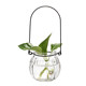 9 small condole bottles with hanging transparent glass vases for simple hydroponic flowerpots for indoor gardening and home decoration 9 small condole bottles with hanging transparent glass vases for simple hydroponic flowerpots for indoor gardening and home decoration