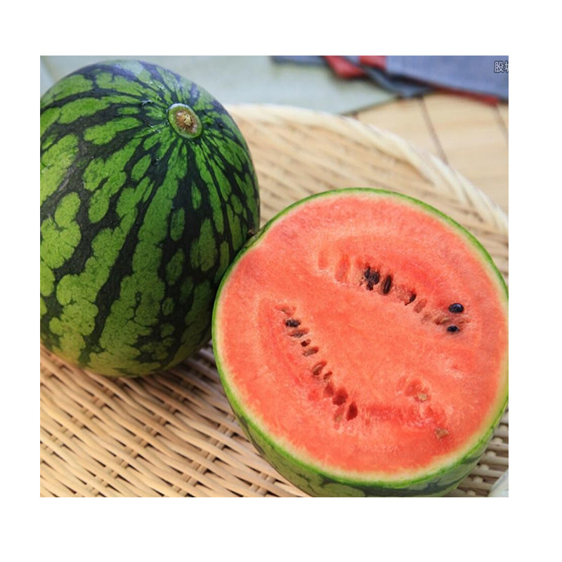 冬瓜翠绿早熟花皮种子节瓜四季高产种籽春季家庭园艺种子