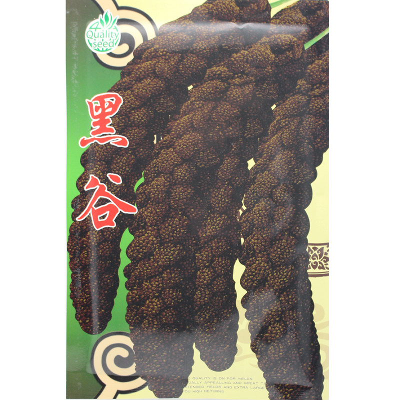 黑谷种子 有机黑小米种子山西农家 黑粘小米绿小米谷子黑皮谷子
