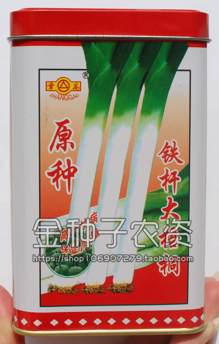 原种铁杆梧桐寿光蔬菜种子优质山东章丘大葱家庭园艺种子