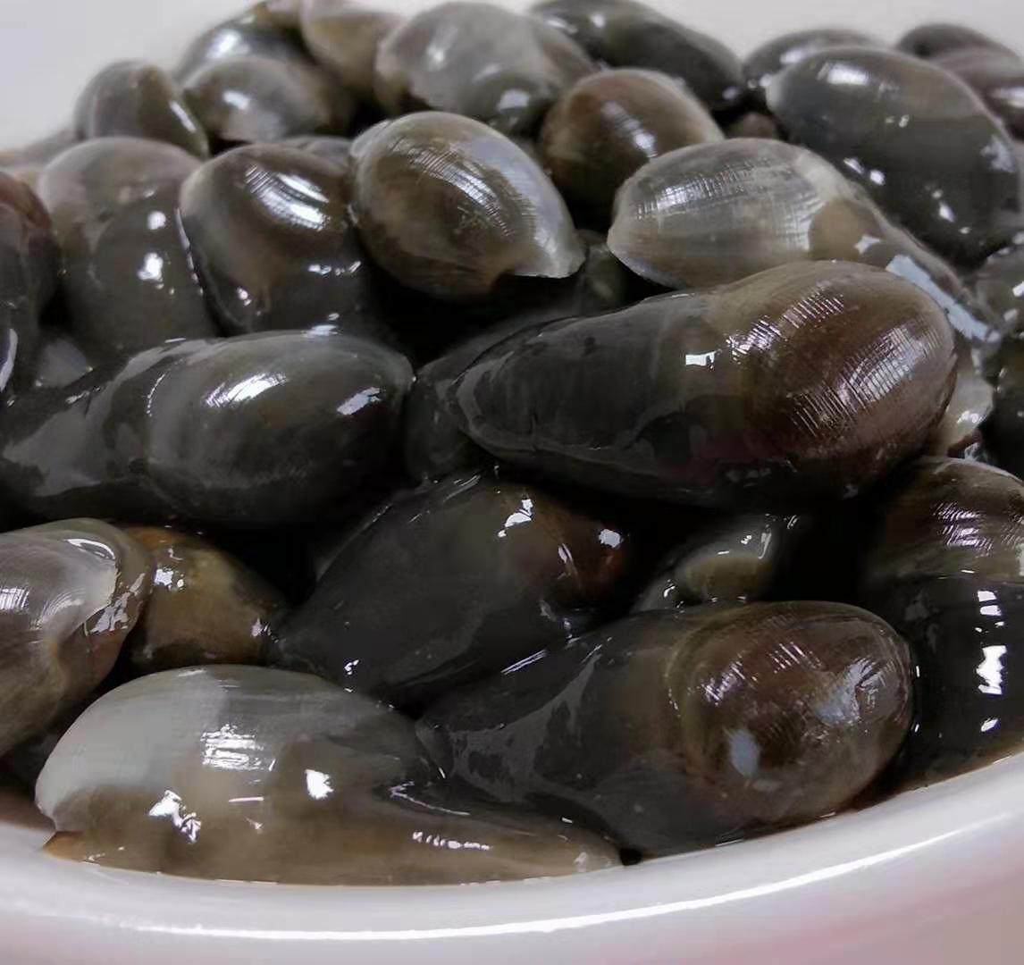宁波海鲜特产大泥螺 特大黄泥螺生呛醉泥螺新鲜鲜活腌制即食灌装