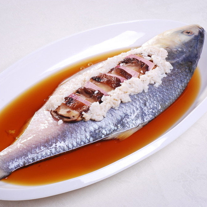 鲥鱼新鲜冷冻海鲜1斤12斤每条价钱淡水鱼类