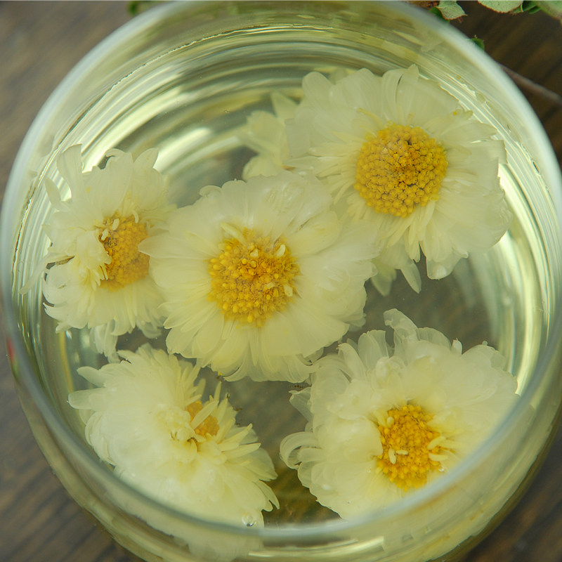 520菊泰滁菊特级菊花茶白菊花草茶贡菊特产200g菊花茶叶礼盒装