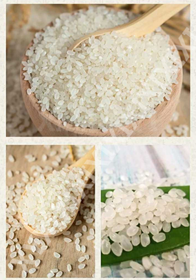 21年新米南粳9108香米kg江苏软香粳梗大米大米