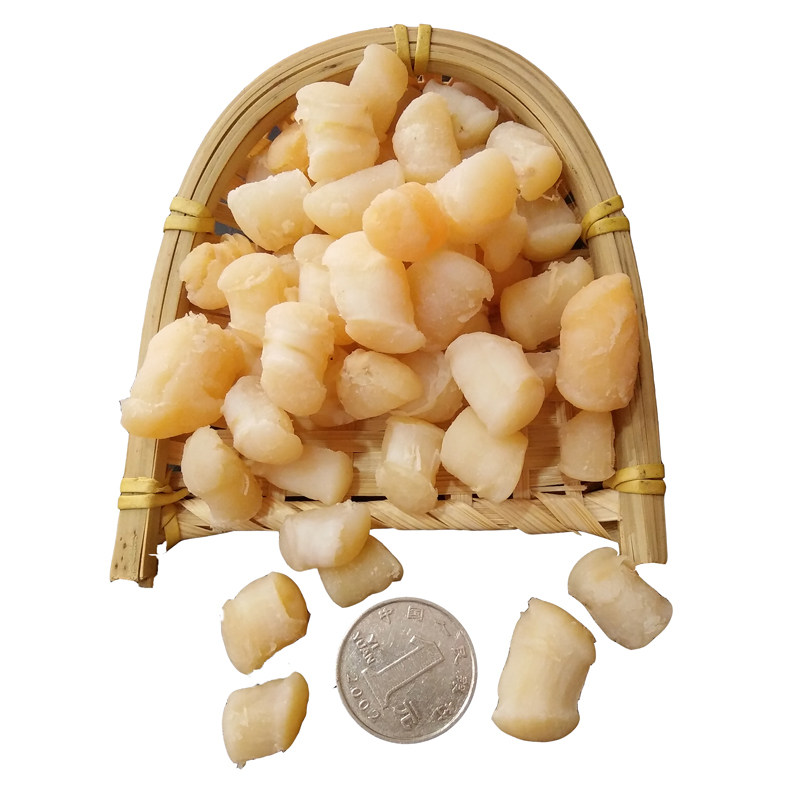 北戴河特产干货海产品全贝干扇贝肉干贝壳肉蛤蜊肉干蚬子500g包邮