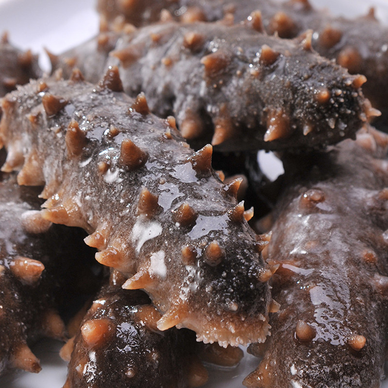 海参姜家鲜活大连孕妇即食海生参底野生刺参海参