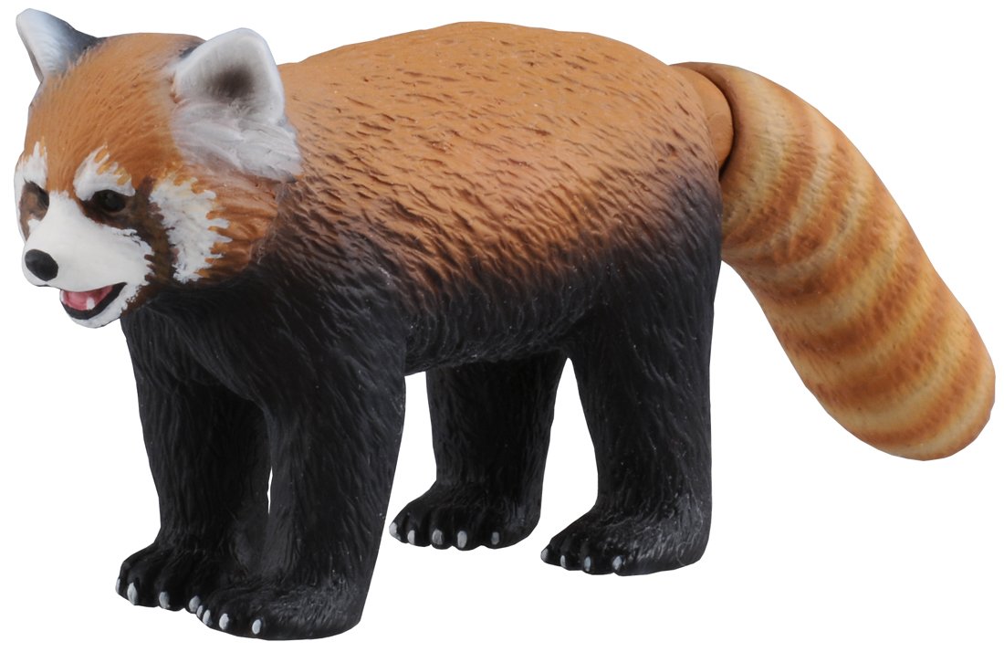 tomica 多美动物园 安利亚 as-11浣熊 可动仿真动物模型 玩具