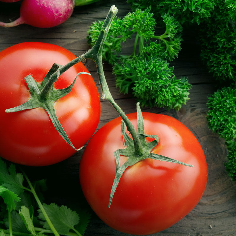 番茄串红牛排专用1斤深圳同城配送番茄