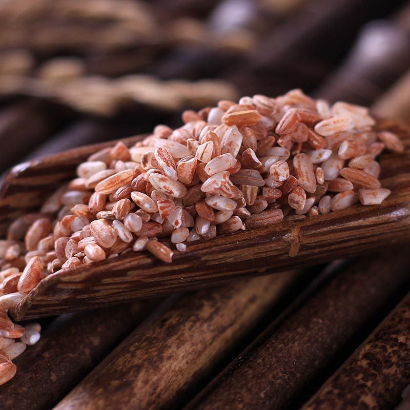 哈尼云南梯田红软米糯米胭脂米元元阳红米500g糙米