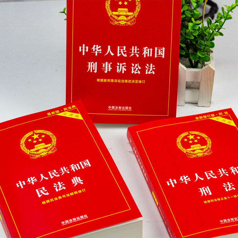 刑法民法典2021正版十一法条中华人民共和国新版年版刑法典法律汇编