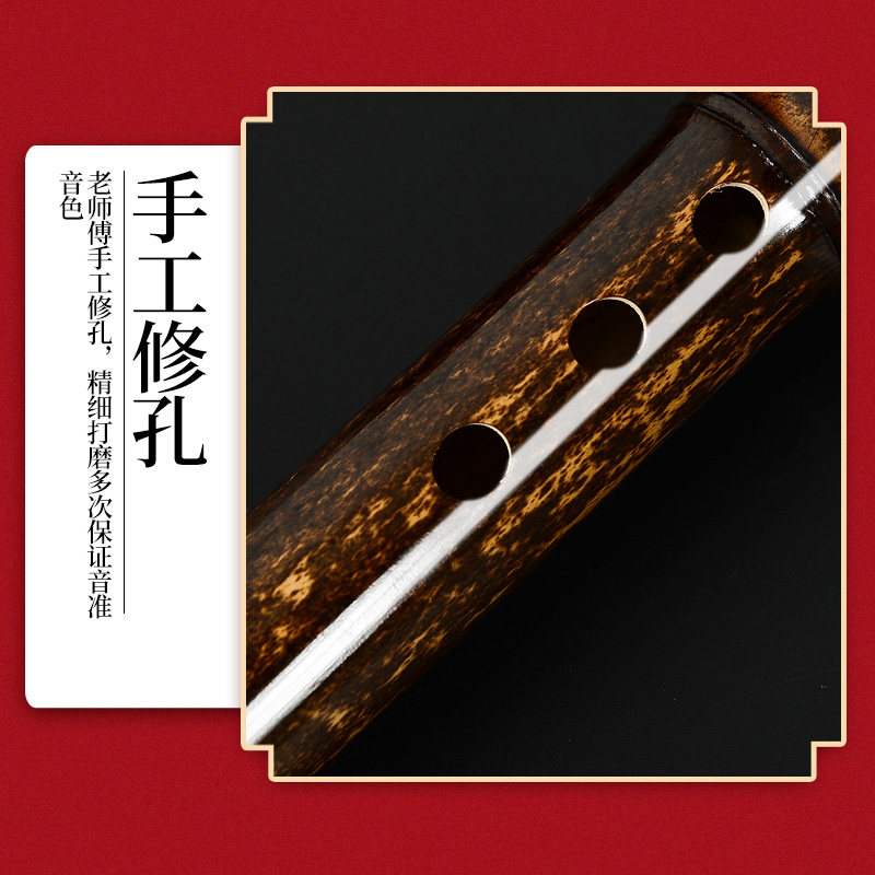 初学随身玉箫古风六孔入门洞箫紫竹演奏专业箫