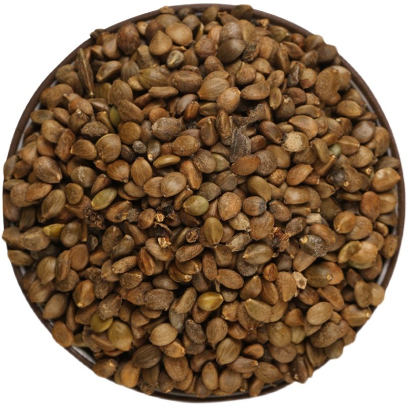 丹参中药材种籽野生特级种子新鲜红鲜红幼苗春四季家庭园艺种子