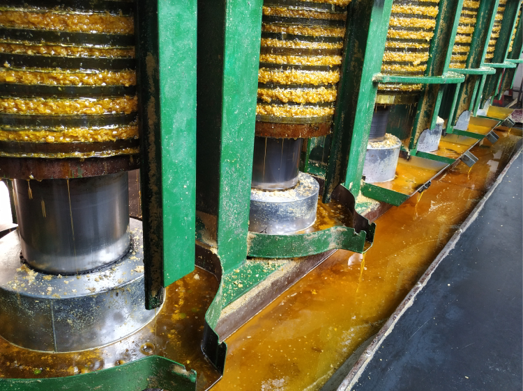 豆油东北农家自制老式转基因生黄笨榨大豆油