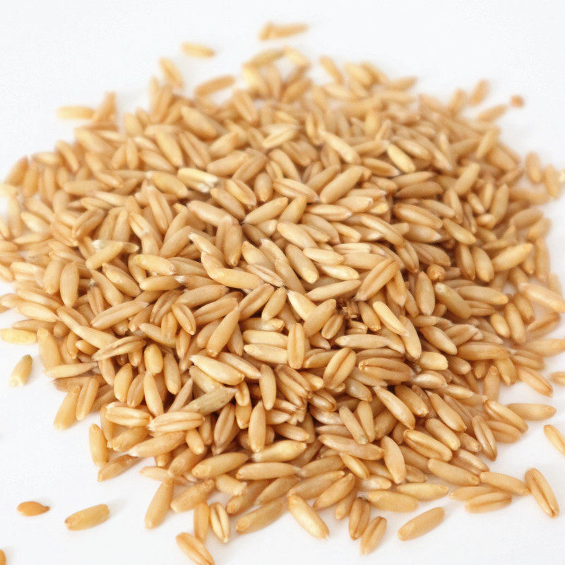 燕麦米2019新米生裸燕麦仁粒莜麦农家自产内蒙全胚芽五谷杂粮5斤
