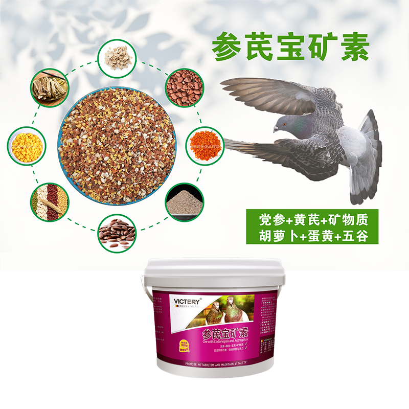 稳拿9号【专治肠道】天津/赛鸽肠道腹泻粪便不成球/稳拿鸽药9号