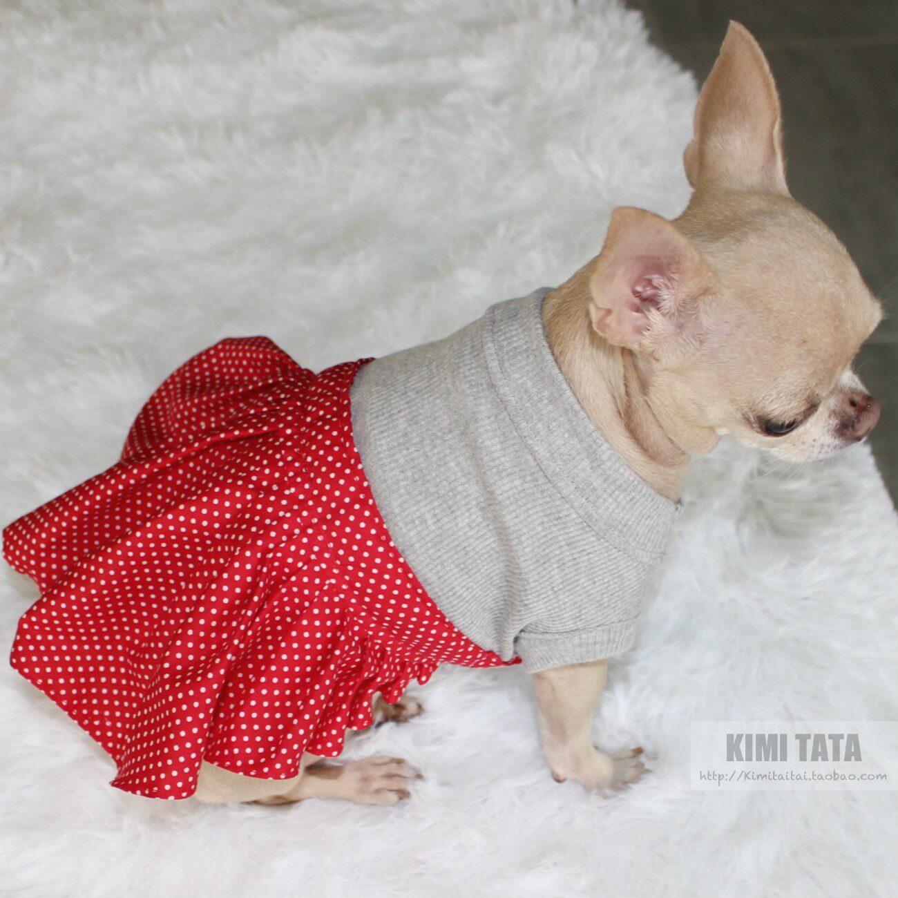 大体狗狗连体裙复古波点假两件套裙猫穿蓬蓬狗宠物服装