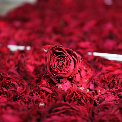 云南红玫瑰花茶精选特级冻干玫瑰花冠干花整朵无硫基地现烤现发代用