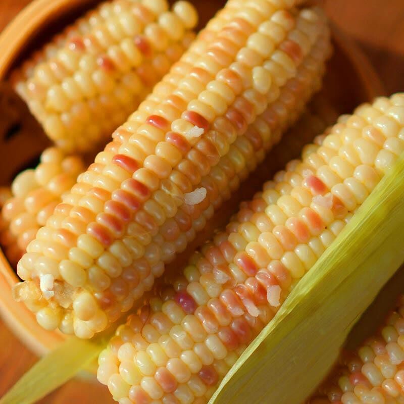 5斤玉米云南西双版纳香糯小玉米玉米棒新鲜甜糯糯米玉米