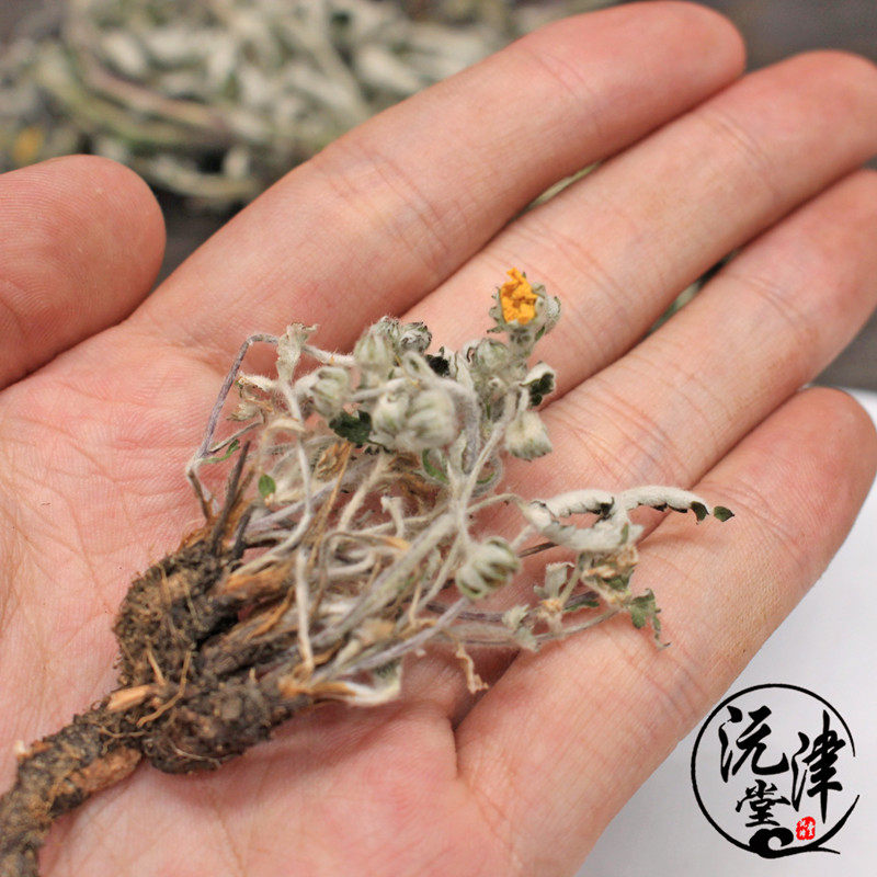 翻白500克包邮野生全草带根配地骨皮农家自挖其他药食同源食品