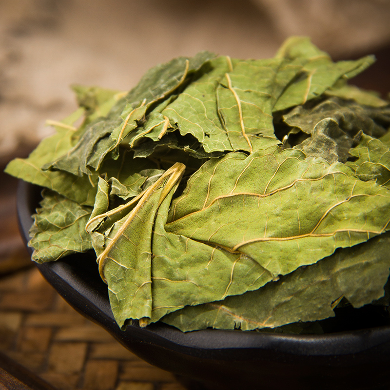 桑叶包邮新鲜晒干纯天然500g正品特级中药材其他药食同源食品