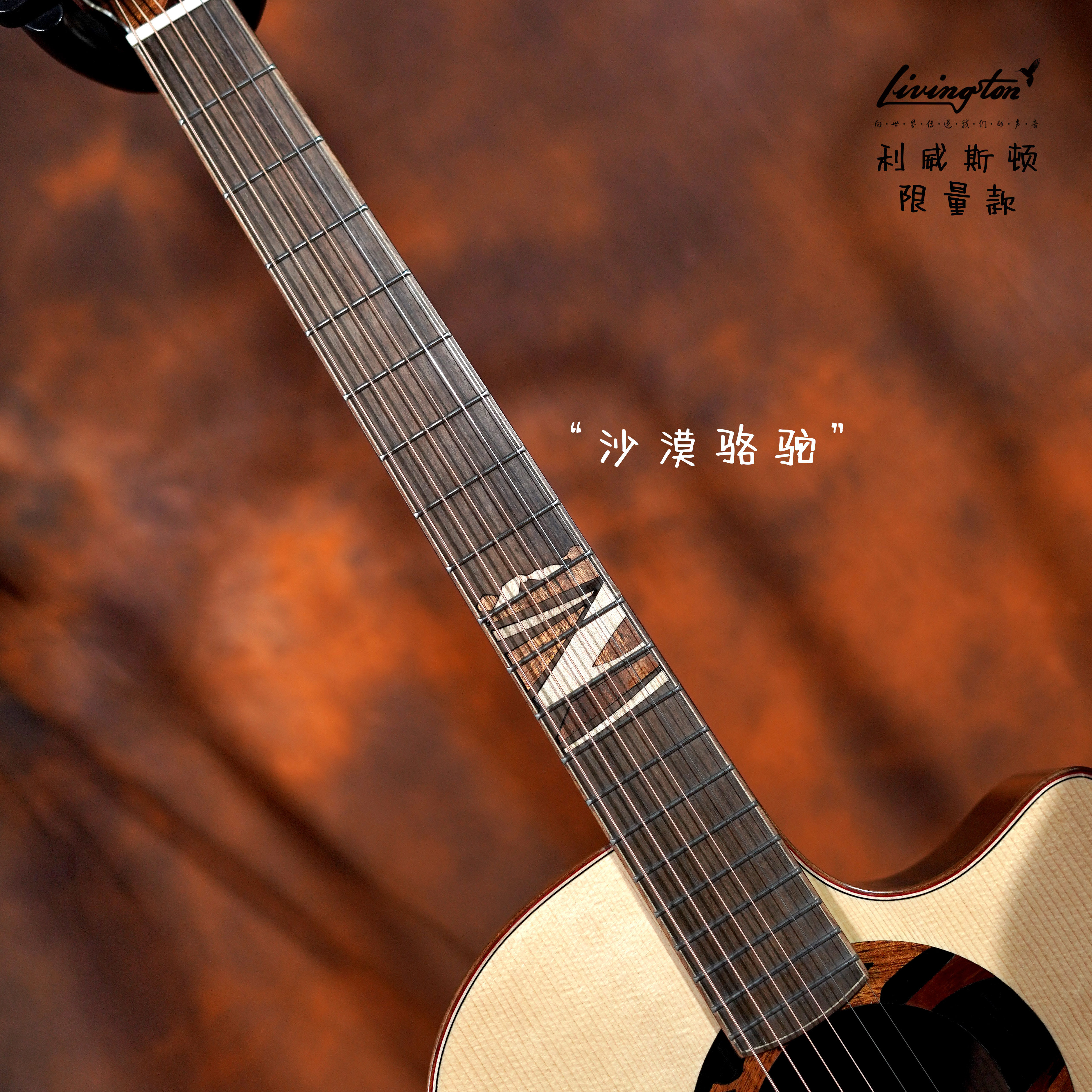 牛仔裤沙漠骆驼利威斯顿livingston吉他限量款面吉他民谣吉他