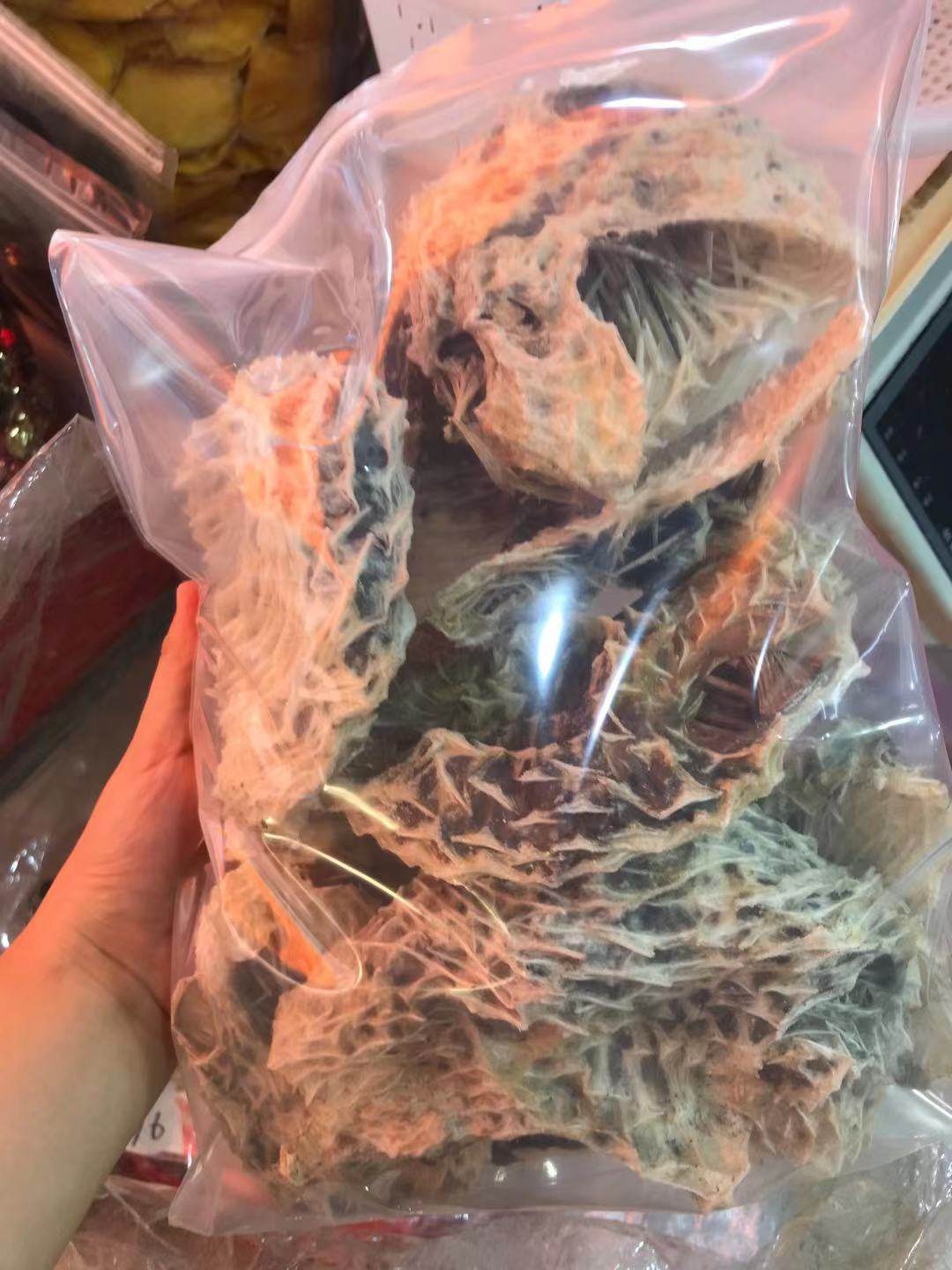 刺龟野生中号海胆皮刺豚皮海刺猬干货煲汤阳江其它