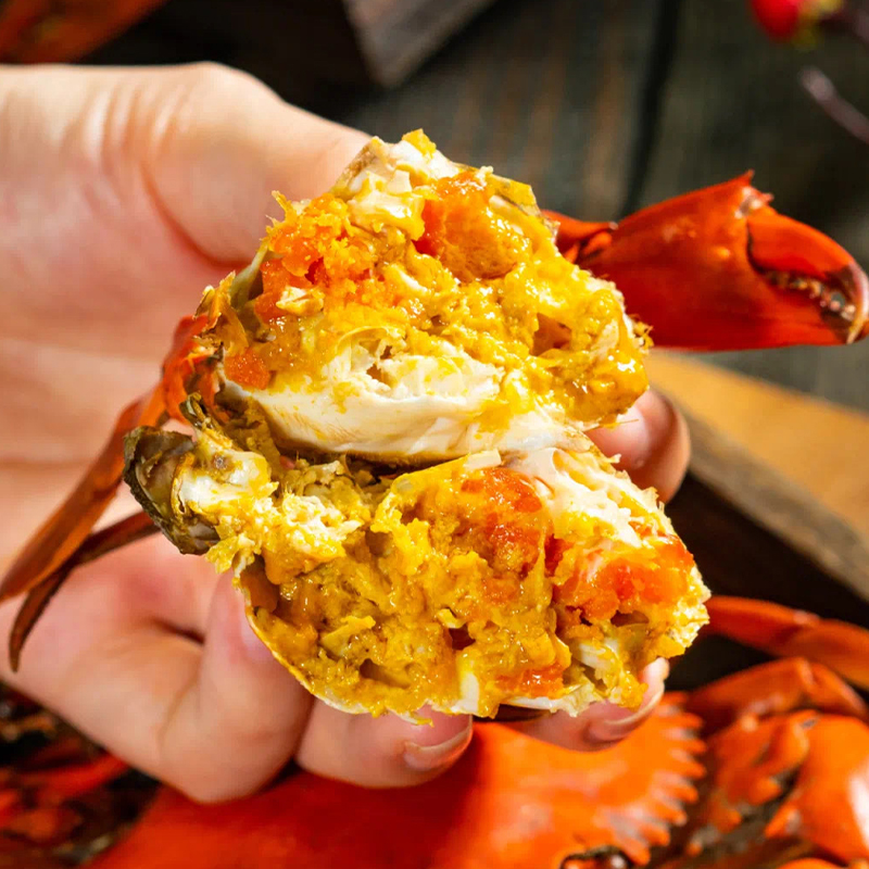 野生鲜活特大超大膏蟹螃蟹缅甸肉蟹红膏一只青蟹