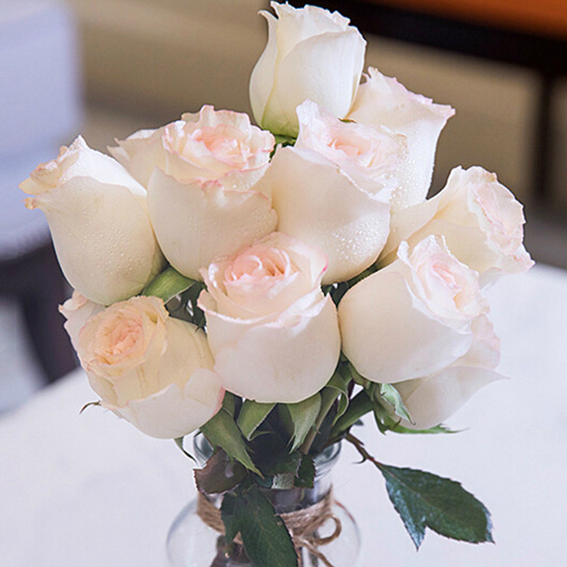 小白兔玫瑰花鲜花直批云南直发真花新鲜昆明基地鲜花速递(同城)