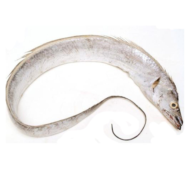 带鱼新鲜水产本港钓带东海海海鲜网带刀鱼整条带鱼